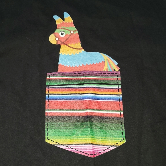 Other - Men's Llama tee black 2XL NWT